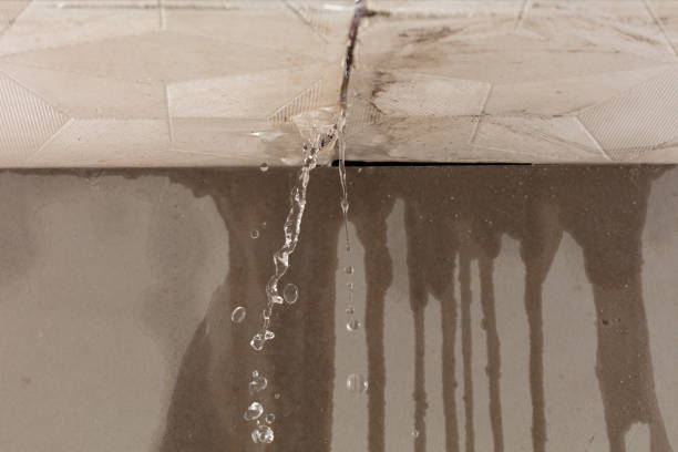 Professional Sewage Cleanup technician working in Gilman, IA